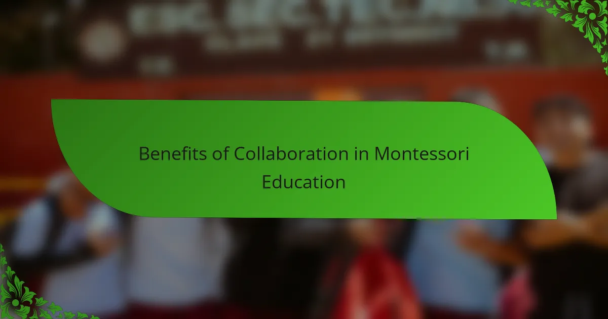 Benefits of Collaboration in Montessori Education