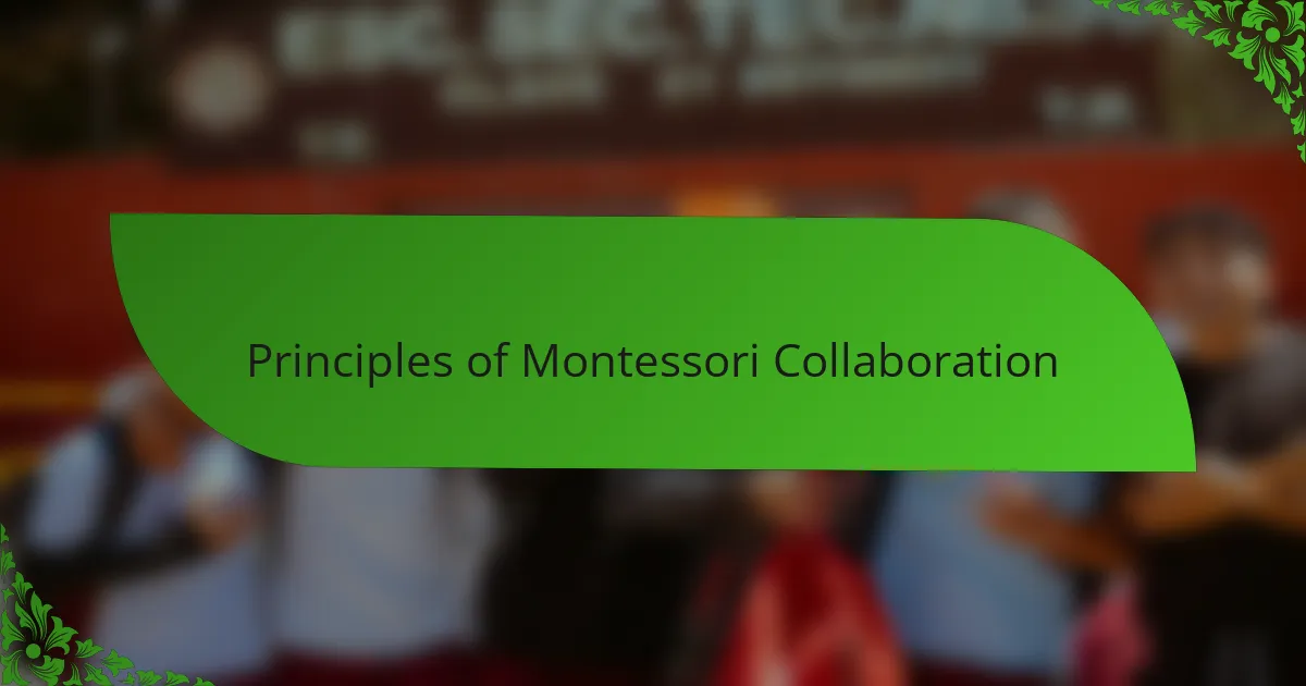Principles of Montessori Collaboration